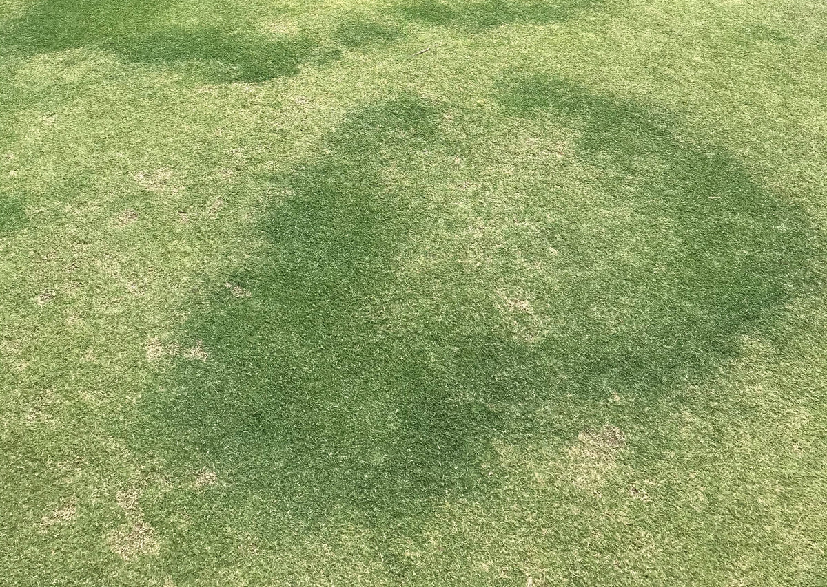Fungicides – Turf Culture