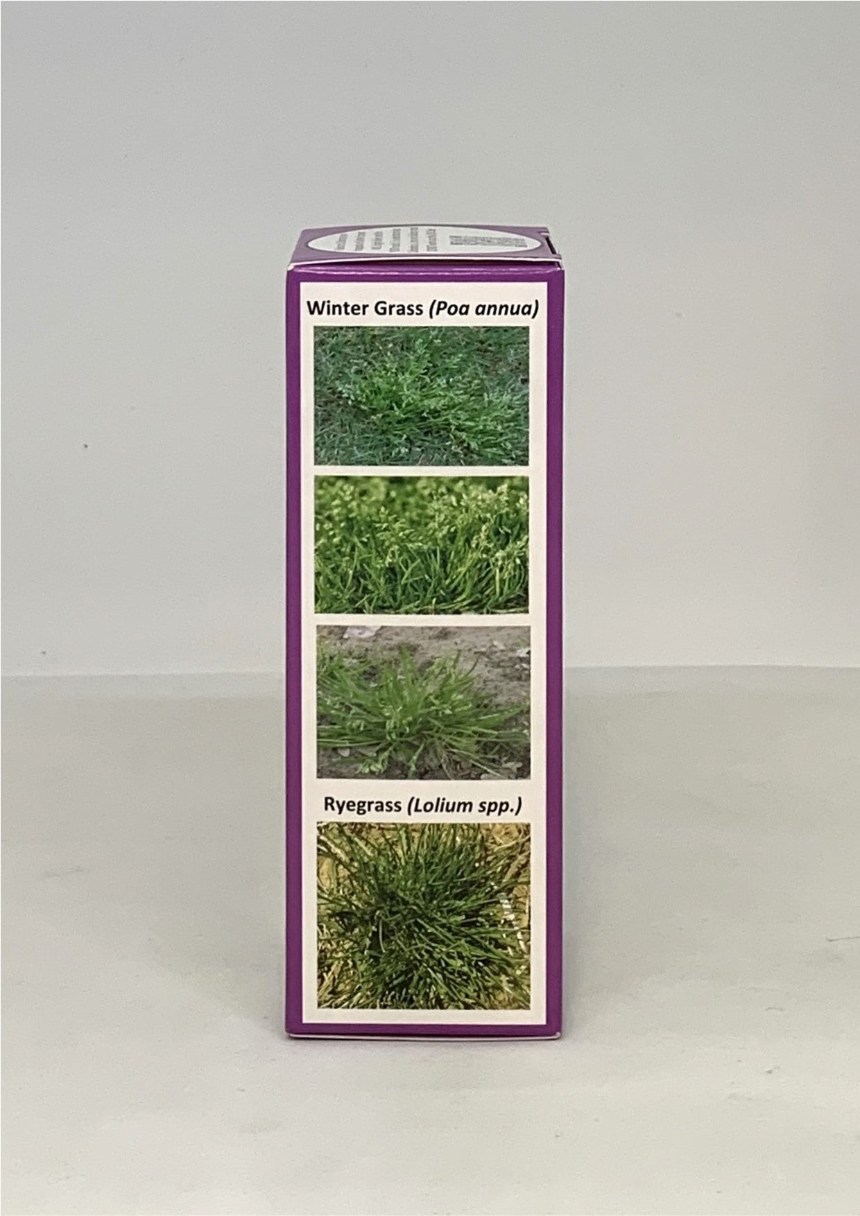 coliseum herbicide Coliseum Herbicide – Turf Culture